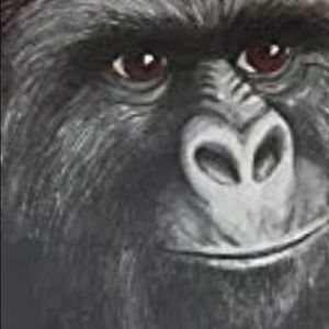 Meet your Posher, Julio